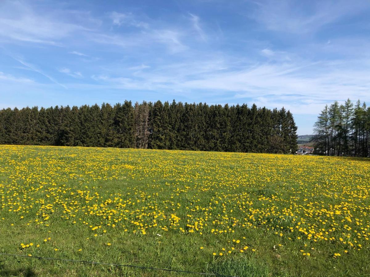 Ferienwohnung Am Wald Hachenburg Luaran gambar